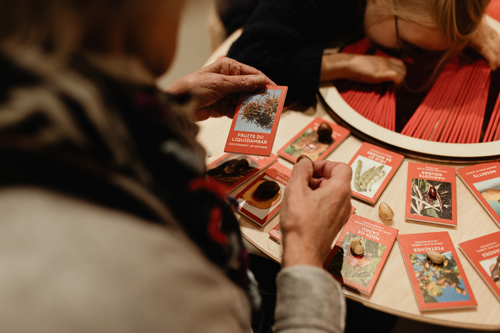 Photo d'une activité à propos des bulbes de tulipes
